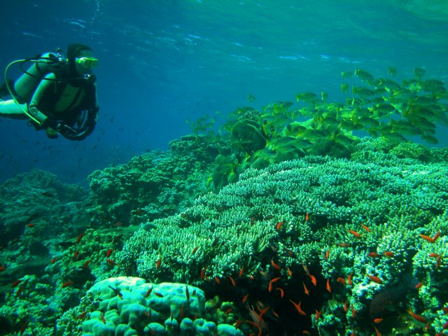 Photograph